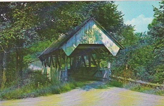 Covered Bridge Danville Green Banks Hollow Bridge Spans Joes Brook Vermont