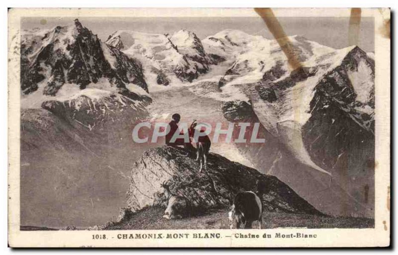 Old Postcard Chamonix Mont Blanc Chamois