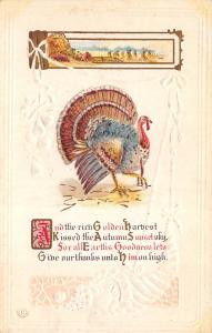 Thanksgiving Greetings c1912 Embossed Postcard Turkey by J.Herman