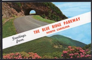 North Carolina The Blue Ridge Parkway Greetings Tunnel Craggy Gardens - Chrome