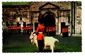 Royel 22 Regiment, Changing of the Guard, La Citadelle, Quebec, Billy Goat