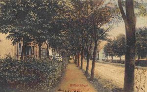 Willow Street Yarmouth Nova Scotia Canada 1906 postcard