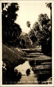 Palm Canyon Near Palm Springs CA California c1920 Real Photo Postcard #1