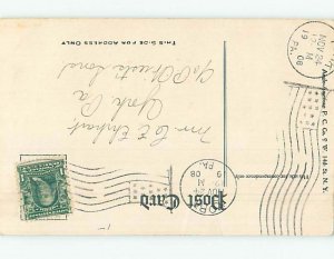 Pre-Linen thanksgiving BIG LARGE TURKEY BIRD HQ7604