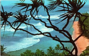 Lauhala Tree Bluff Overlooking Ke’e Beach Kauai HI Hawaii Postcard Curteich VTG 