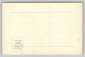 Bermuda  Lily Field   Postcard