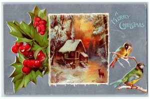 Christmas Postcard Holly Berries Song Birds House Winter Scene Embossed c1910's