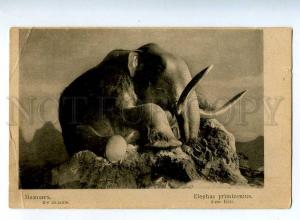 223551 RUSSIA MAMMOTH St.Eugenie 4th Edition vintage postcard