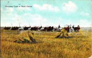 Harvesting Grain in North Dakota c1909 Vintage Postcard P78