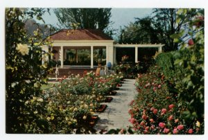 Postcard Mirrored Pergola Lambert Gardens Portland Ore. Standard View Card