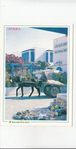 BF17887 jerba tunisia chariot horse types  front/back image