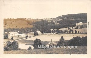 Birds Eye View - Liberty, New York NY Postcard