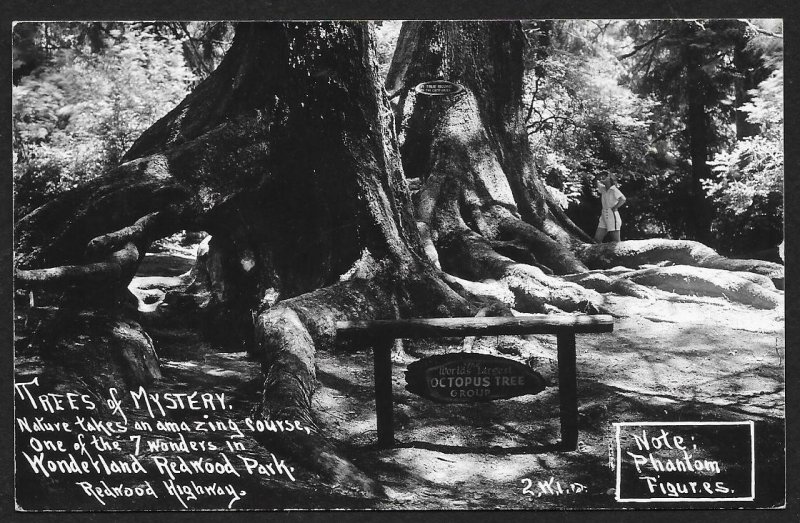Trees of Mystery One of Seven Wonders Redwood Park California RPPC Unused c1940s