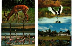 KENYA 96 AFRIQUE AFRICA Postcards CPM Mostly 1950-1990 (L3287)