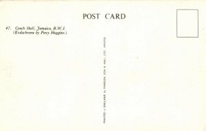 PC JAMAICA, CONCH SHELL, Vintage Postcard (b40011)