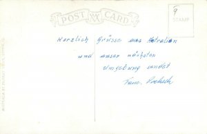 Australian native bear koala photo postcard