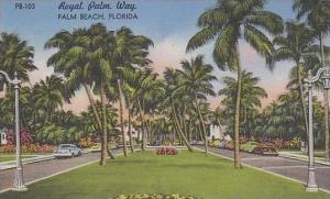 Florida Palm Beach Royal Palm Way