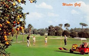 Winter Golf Misc, Florida  