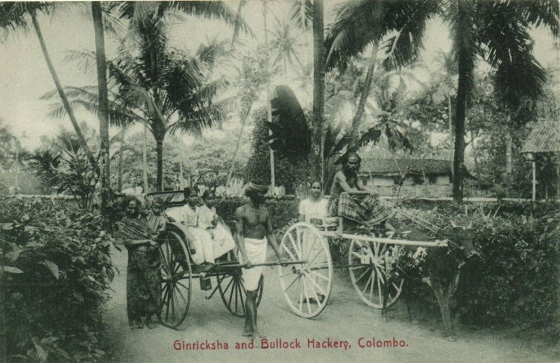 PC CPA SRI LANKA, CEYLON, GINRICKSHAW AND BULLOCK HACKERY, Postcard (b13654)