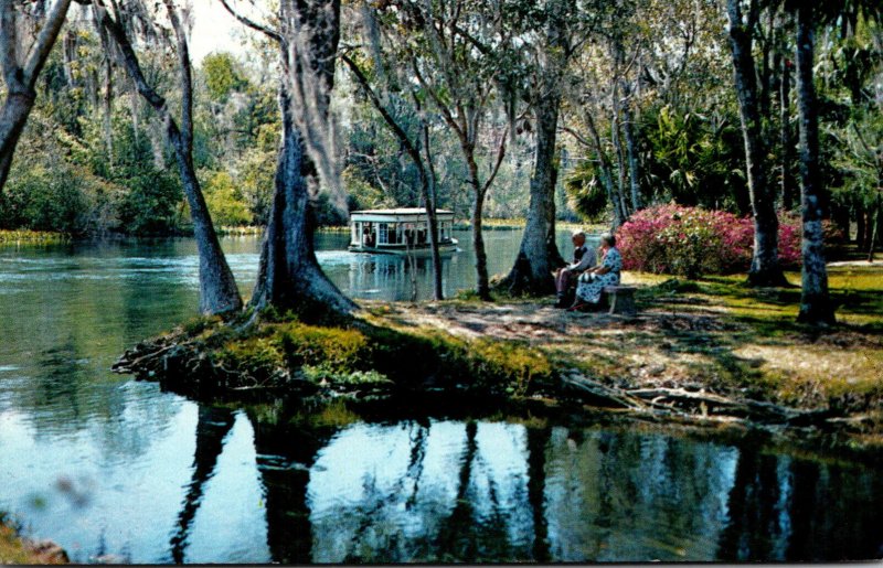 Florida Silver Springs Glass Bottom Boat On Silver River 1982