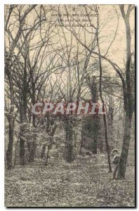 Old Postcard Bois de Boulogne near a corner of the wood of the great Lake