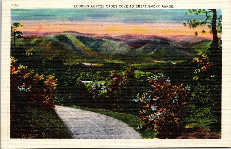 Looking Across Cades Cove Great Smoky Range Linen Postcard VTG UNP Vintage 
