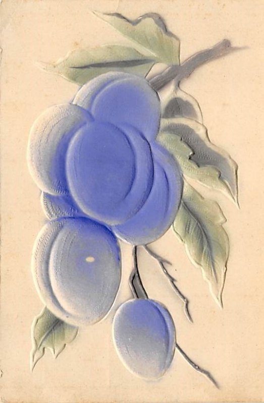 Plums Fruit Assorted Unused 