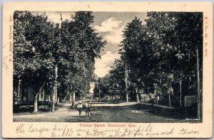 Postcard Richmond Quebec c1906 College Street by M. J. Palmer