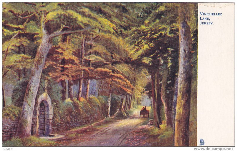 JERSEY, England, 1900-1910's; Vinchellez Lane