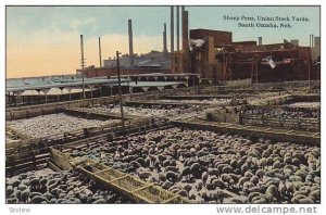 Sheep Pens, Union Stock Yards, South Omaha, Nebraska 1900-1910s