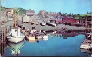 Canada Petite Riviere Aux Renards Quebec Peninsula Chrome Postcard C098