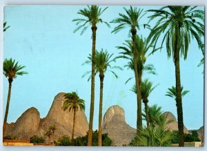 Sudan North Africa Postcard View of Trees and Taca Mountain 1982 Vintage Posted