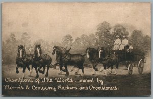 HORSES CHAMPIONS OF THE WORLD MORRIS & COMPANY ADVERTISING ANTIQUE POSTCARD