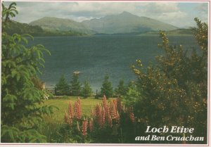 Scotland Postcard - Loch Etive and Ben Cruachan    A7928