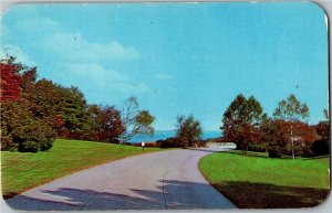 Colonial National Parkway Between Yorktown and Williamsburg VA Postcard D35