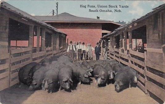 Hog Pens Union Stock Yards South Omaha Nebraska