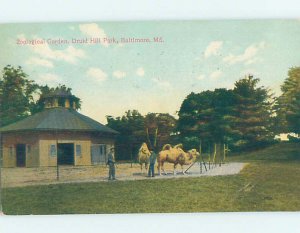 Divided-Back ZOO SCENE Baltimore Maryland MD AG1970