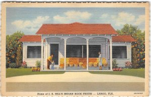 Largo Florida JS HILL'S GROVES Indian Rocks Roadside Oranges 1946 Linen Postcard