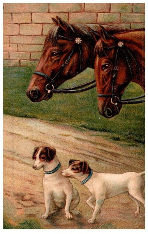 Dog , Horses and Dogs