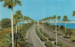 CLEARWATER, FL Florida    MEMORIAL CAUSEWAY~Looking West    Chrome Postcard