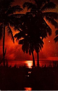 Florida Beautiful Sunset