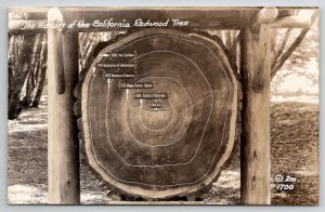 History Of The California Redwood Tree RPPC Real Photo Postcard W30