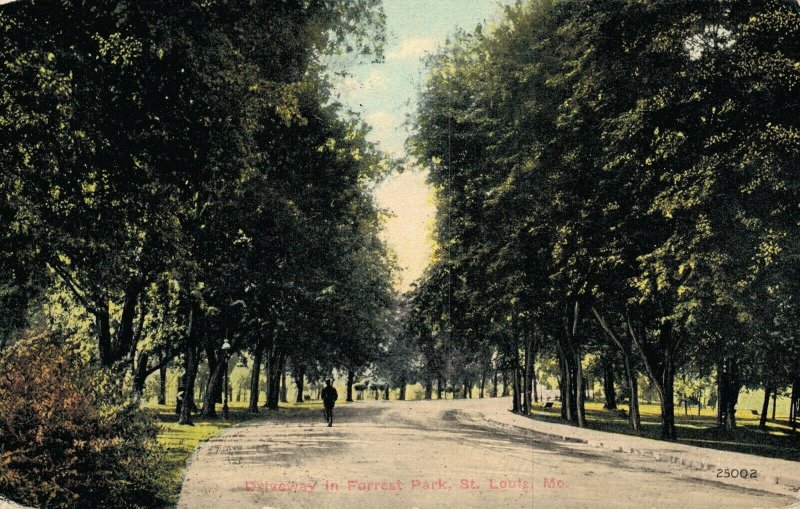 USA Missouri Driveway in Forest Park St Louis. 03.16