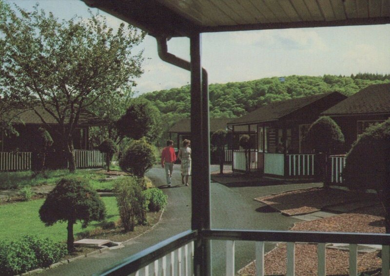 Scotland Postcard - Rob Roy Highland Motel, Aberfoyle, Perthshire   RR9463