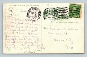 Corpus Christie TX-Texas, Yucca, Spanish Dagger, Cactus, Vintage c1912 Postcard 