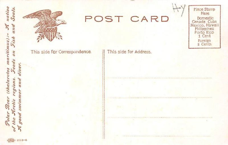 Polar Bear Bear Unused 