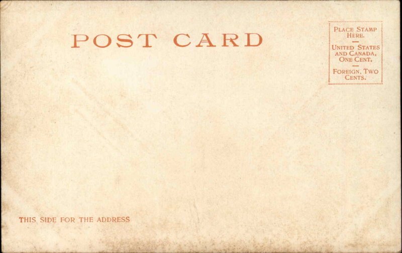 Jacksonville Florida FL Hemming Park Monroe St Detroit Pub c1900s-20s Postcard