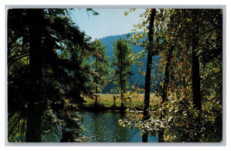 St. Joe River Coeur d'Alene Country Washington Scenic View Postcard