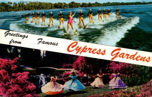 Greetings From Cypress Gardens Florida Split View