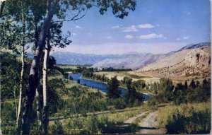 Snake River Jackson Wyoming Scenic Mountain Landscape Chrome Postcard